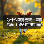 为什么狗狗喜欢一直添后面（揭秘狗狗后面的行为习惯，探寻它们内心的真正想法）（图4）