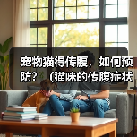 宠物猫得传腹，如何预防？（猫咪的传腹症状和治疗方法）（图3）