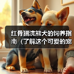 红骨猎浣熊犬的饲养指南（了解这个可爱的宠物的生活习惯和需求，让你成为一个负责任的主人）（图4）