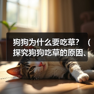 狗狗为什么要吃草？（探究狗狗吃草的原因、类型以及影响）（图1）