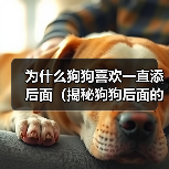 为什么狗狗喜欢一直添后面（揭秘狗狗后面的行为习惯，探寻它们内心的真正想法）（图2）