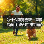 为什么狗狗喜欢一直添后面（揭秘狗狗后面的行为习惯，探寻它们内心的真正想法）（图3）
