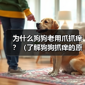为什么狗狗老用爪抓痒?(了解狗狗抓痒的原因,保障它们的健康)(图3) 为什么狗狗老用爪抓痒?(了解狗狗抓痒的原因,保障它们的健康)(图3)