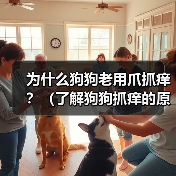 为什么狗狗老用爪抓痒?(了解狗狗抓痒的原因,保障它们的健康)(图4) 为什么狗狗老用爪抓痒?(了解狗狗抓痒的原因,保障它们的健康)(图4)