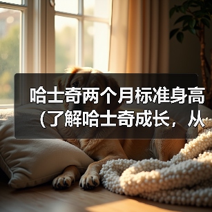 哈士奇两个月标准身高（了解哈士奇成长，从身高开始）（图3）