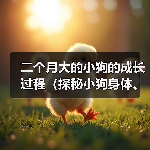 二个月大的小狗的成长过程(探秘小狗身体、心理发育的规律)(图3) 二个月大的小狗的成长过程(探秘小狗身体、心理发育的规律)(图3)