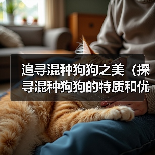 追寻混种狗狗之美（探寻混种狗狗的特质和优点，了解其起源和命名方式）（图2）