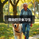 藏獒的饮食习性(图2) 藏獒的饮食习性(图2)