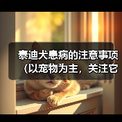 泰迪犬患病的注意事项（以宠物为主，关注它的健康）（图2）