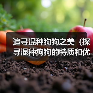 追寻混种狗狗之美（探寻混种狗狗的特质和优点，了解其起源和命名方式）（图3）