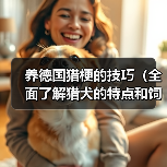 养德国猎梗的技巧（全面了解猎犬的特点和饲养要点，让你成为优秀的猎梗主人）（图1）