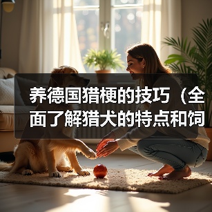 养德国猎梗的技巧（全面了解猎犬的特点和饲养要点，让你成为优秀的猎梗主人）（图4）