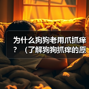 为什么狗狗老用爪抓痒?(了解狗狗抓痒的原因,保障它们的健康)(图2) 为什么狗狗老用爪抓痒?(了解狗狗抓痒的原因,保障它们的健康)(图2)