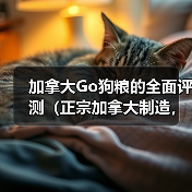 加拿大Go狗粮的全面评测（正宗加拿大制造，天然营养，适合各类犬只）（图3）