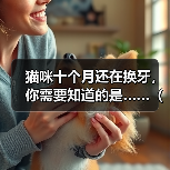 猫咪十个月还在换牙，你需要知道的是……（了解猫咪的换牙期，保护它们的口腔健康）（图1）