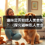 猫咪是否能吃人类食物?(探究猫咪吃人类食物的反应)(图2) 猫咪是否能吃人类食物?(探究猫咪吃人类食物的反应)(图2)