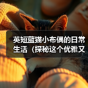 英短蓝猫小布偶的日常生活(探秘这个优雅又可爱的蓝色小猫咪的生活点滴)(图2) 英短蓝猫小布偶的日常生活(探秘这个优雅又可爱的蓝色小猫咪的生活点滴)(图2)