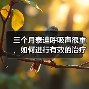 三个月泰迪呼吸声很重,如何进行有效的治疗?(探究泰迪呼吸困难的原因及治疗方法)(图4) 三个月泰迪呼吸声很重,如何进行有效的治疗?(探究泰迪呼吸困难的原因及治疗方法)(图4)