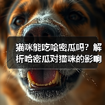 猫咪能吃哈密瓜吗？解析哈密瓜对猫咪的影响（宠物主人必看，了解猫咪饮食常识）（图2）