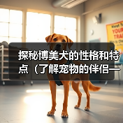 探秘博美犬的性格和特点（了解宠物的伴侣——博美犬）（图2）