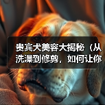 贵宾犬美容大揭秘(从洗澡到修剪,如何让你的贵宾犬更加美丽)(图1) 贵宾犬美容大揭秘(从洗澡到修剪,如何让你的贵宾犬更加美丽)(图1)