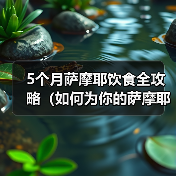 5个月萨摩耶饮食全攻略(如何为你的萨摩耶提供营养均衡的饮食)(图1) 5个月萨摩耶饮食全攻略(如何为你的萨摩耶提供营养均衡的饮食)(图1)