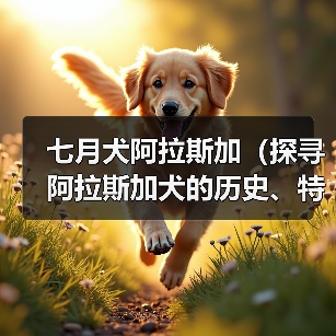 七月犬阿拉斯加(探寻阿拉斯加犬的历史、特点与饲养技巧)(图1) 七月犬阿拉斯加(探寻阿拉斯加犬的历史、特点与饲养技巧)(图1)