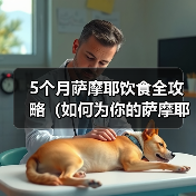 5个月萨摩耶饮食全攻略(如何为你的萨摩耶提供营养均衡的饮食)(图3) 5个月萨摩耶饮食全攻略(如何为你的萨摩耶提供营养均衡的饮食)(图3)