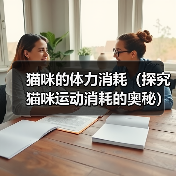 猫咪的体力消耗(探究猫咪运动消耗的奥秘)(图3) 猫咪的体力消耗(探究猫咪运动消耗的奥秘)(图3)