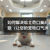 如何解决哈士奇口臭问题（让您的宠物口气清新自然）（图1）