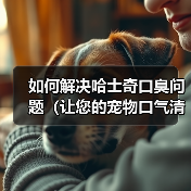 如何解决哈士奇口臭问题（让您的宠物口气清新自然）（图2）