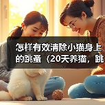 怎样有效清除小猫身上的跳蚤（20天养猫，跳蚤不再困扰/跳蚤侵扰小猫，该怎么办？）（图1）