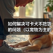 如何解决可卡犬不吃饭的问题（以宠物为主的专业建议，快速让你的可卡犬恢复食欲）（图4）
