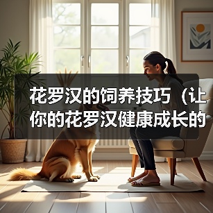 花罗汉的饲养技巧（让你的花罗汉健康成长的实用指南）（图4）