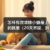 怎样有效清除小猫身上的跳蚤（20天养猫，跳蚤不再困扰/跳蚤侵扰小猫，该怎么办？）（图3）