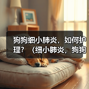 狗狗细小肺炎，如何护理？（细小肺炎，狗狗需要怎样的治疗与关爱？）（图2）