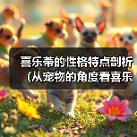 喜乐蒂的性格特点剖析（从宠物的角度看喜乐蒂的性格特点）（图1）