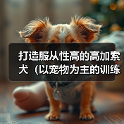 打造服从性高的高加索犬（以宠物为主的训练要点和技巧）（图1）