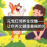 元宝红饲养全攻略——让你养出健康美丽的元宝红（从选购到养护，一步步教你打造完美元宝红水族箱）（图2）