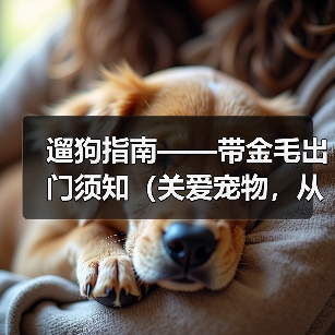 遛狗指南——带金毛出门须知（关爱宠物，从每一次遛狗开始）（图1）