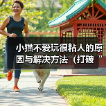 小猫不爱玩很粘人的原因与解决方法（打破“猫不爱玩”的迷思，让小猫喜欢上玩耍）（图2）