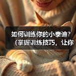 如何训练你的小泰迪?(掌握训练技巧,让你的宠物成为乖巧的小天使!)(图1) 如何训练你的小泰迪?(掌握训练技巧,让你的宠物成为乖巧的小天使!)(图1)