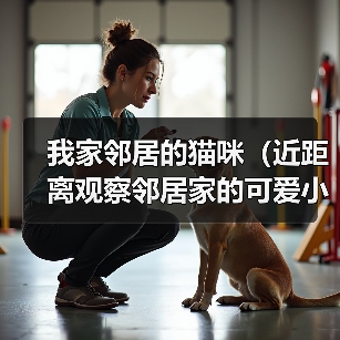我家邻居的猫咪(近距离观察邻居家的可爱小猫,惊奇发现……)(图4) 我家邻居的猫咪(近距离观察邻居家的可爱小猫,惊奇发现……)(图4)