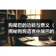 狗尾巴的功能与意义(揭秘狗狗语言中尾巴的秘密,探究狗尾巴与狗的情绪联系)(图2) 狗尾巴的功能与意义(揭秘狗狗语言中尾巴的秘密,探究狗尾巴与狗的情绪联系)(图2)
