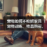 宠物如何不咬抓家具(宠物训练、物品购买、家具维护)(图4) 宠物如何不咬抓家具(宠物训练、物品购买、家具维护)(图4)