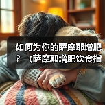 如何为你的萨摩耶增肥?(萨摩耶增肥饮食指南,让你的宠物更健康。)(图1) 如何为你的萨摩耶增肥?(萨摩耶增肥饮食指南,让你的宠物更健康。)(图1)