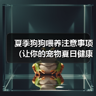 夏季狗狗喂养注意事项(让你的宠物夏日健康无忧)(图1) 夏季狗狗喂养注意事项(让你的宠物夏日健康无忧)(图1)