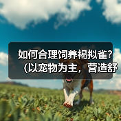 如何合理饲养褐拟雀?(以宠物为主,营造舒适生活环境,享受亲密互动)(图4) 如何合理饲养褐拟雀?(以宠物为主,营造舒适生活环境,享受亲密互动)(图4)