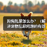 狗狗乱尿怎么办?(解决宠物乱尿问题的有效方法)(图1) 狗狗乱尿怎么办?(解决宠物乱尿问题的有效方法)(图1)
