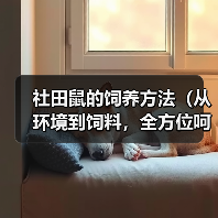 社田鼠的饲养方法(从环境到饲料,全方位呵护你的社田鼠)(图1) 社田鼠的饲养方法(从环境到饲料,全方位呵护你的社田鼠)(图1)